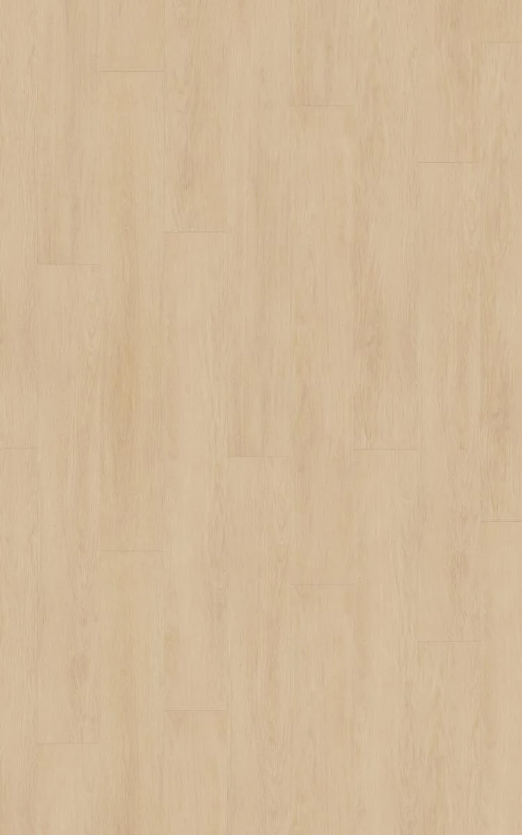 KronoTex Mammut Plus Elegance Oak Beige laminat parke
