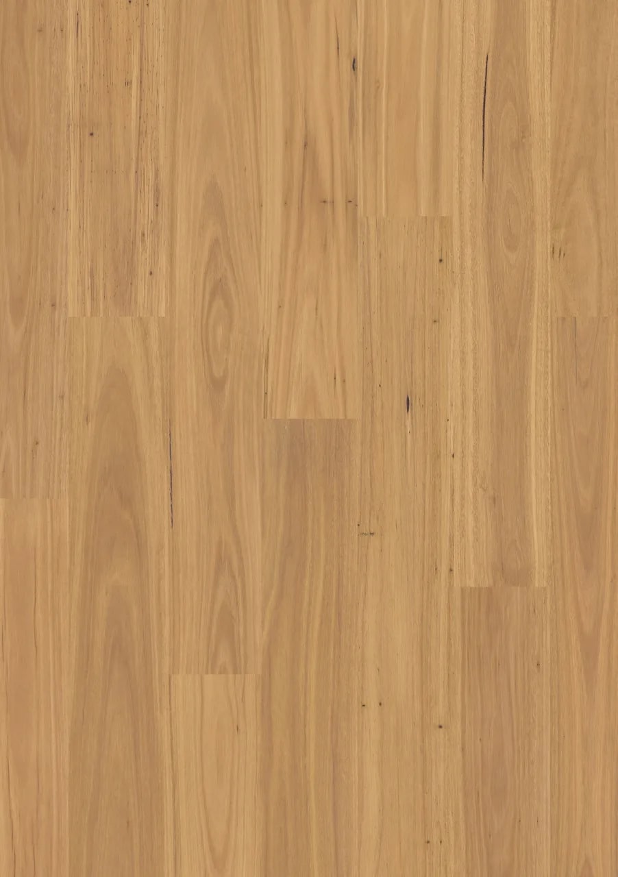 Quick-Step Eligna Pure blackbutt Laminate Eligna laminat parke