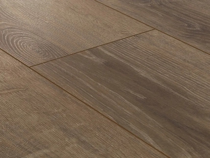 Balearic Oak