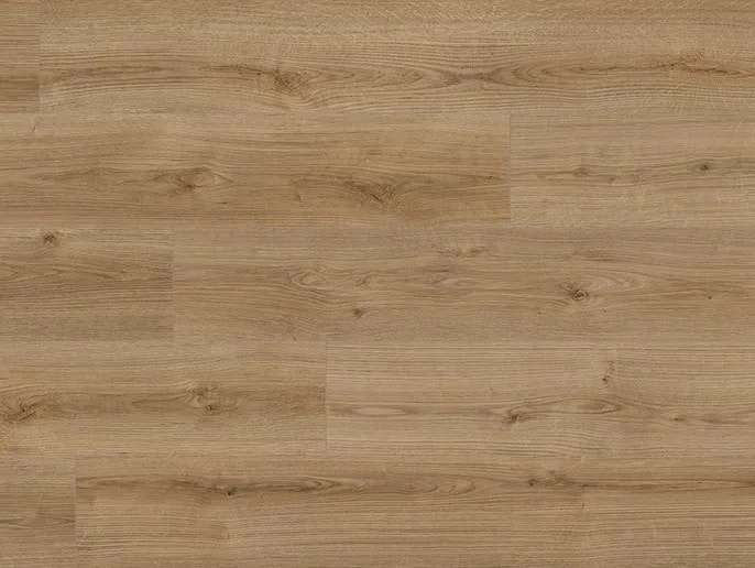 Oak Evoke Trend