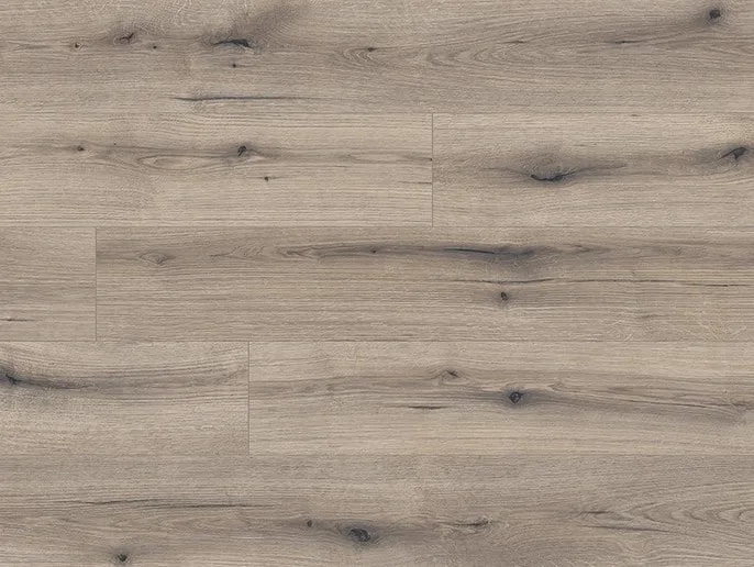 Oak Evoke Solano