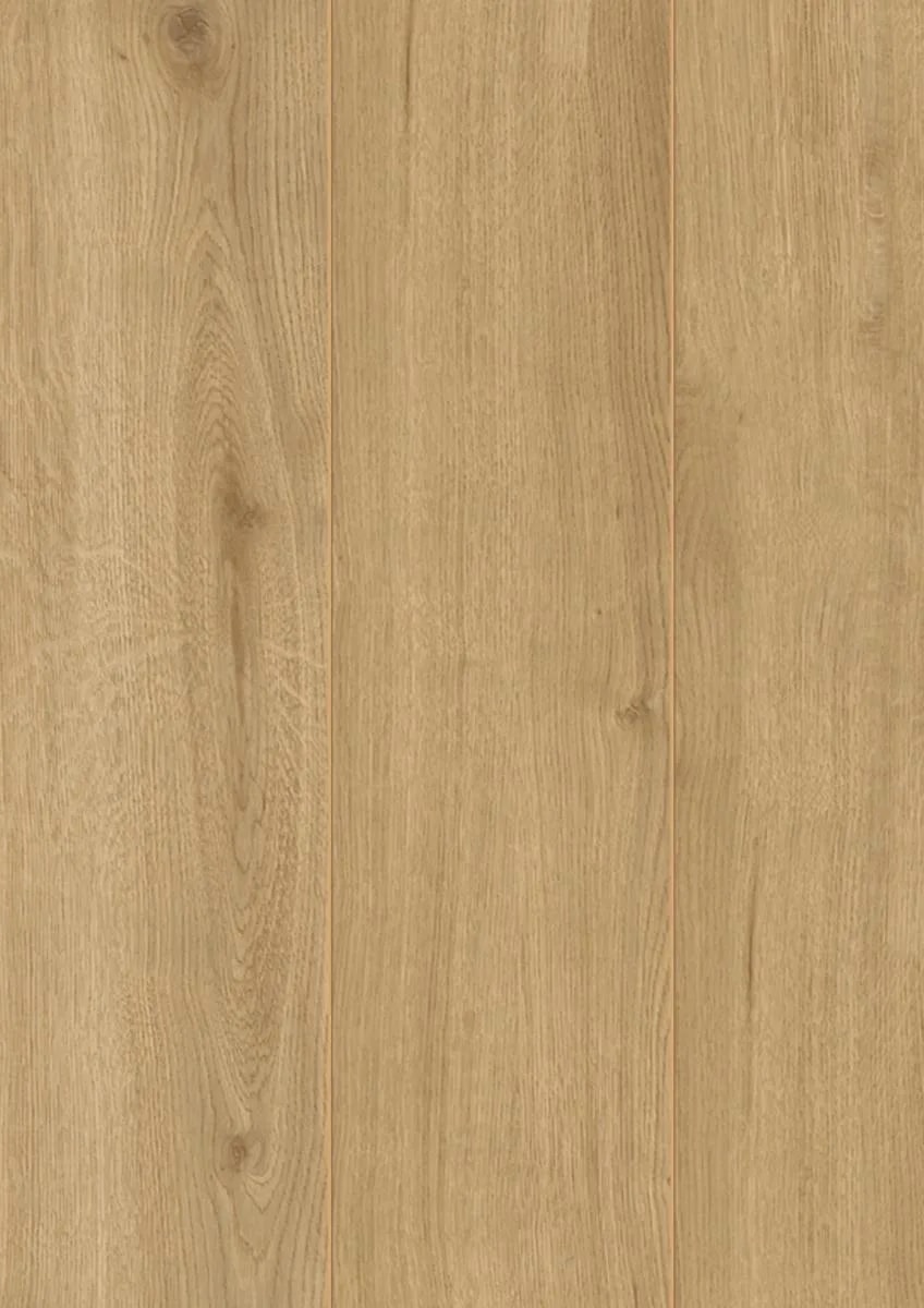 Adaja Oak