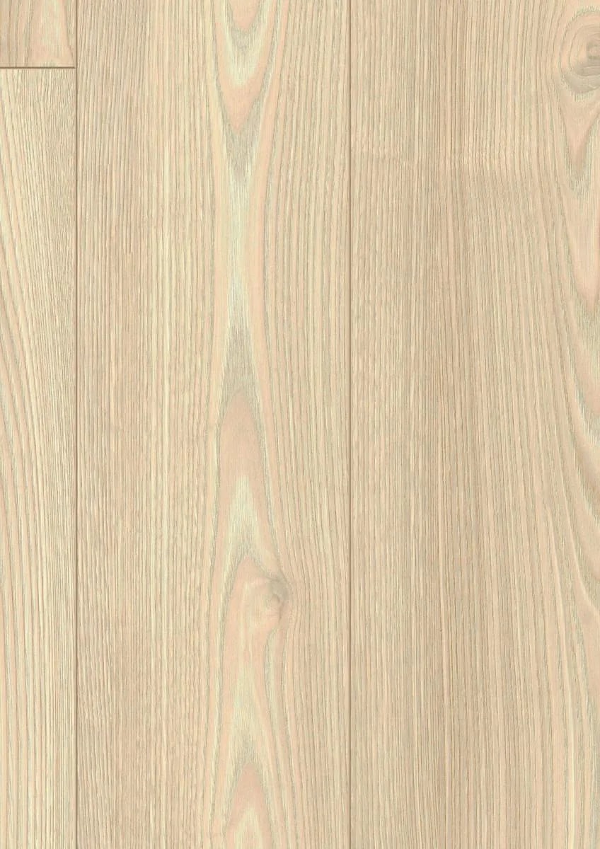 Salisbury Chestnut