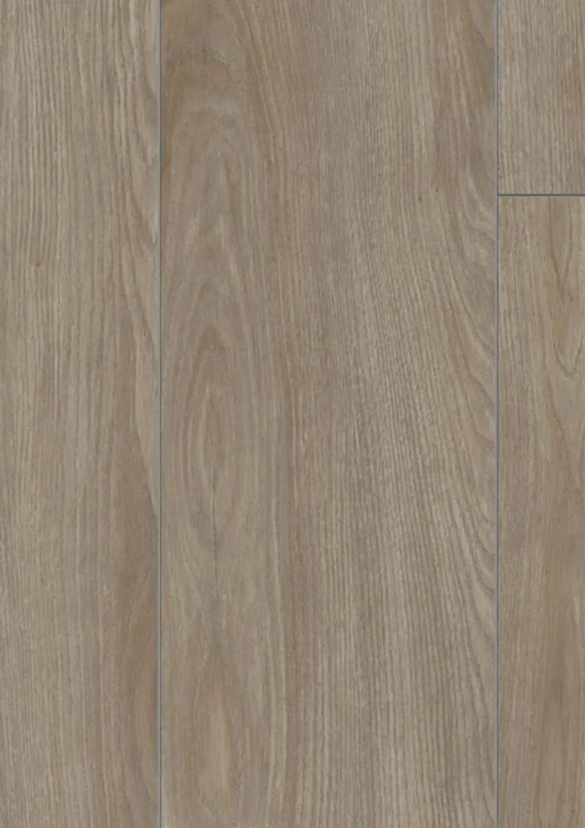 Sevilla Oak