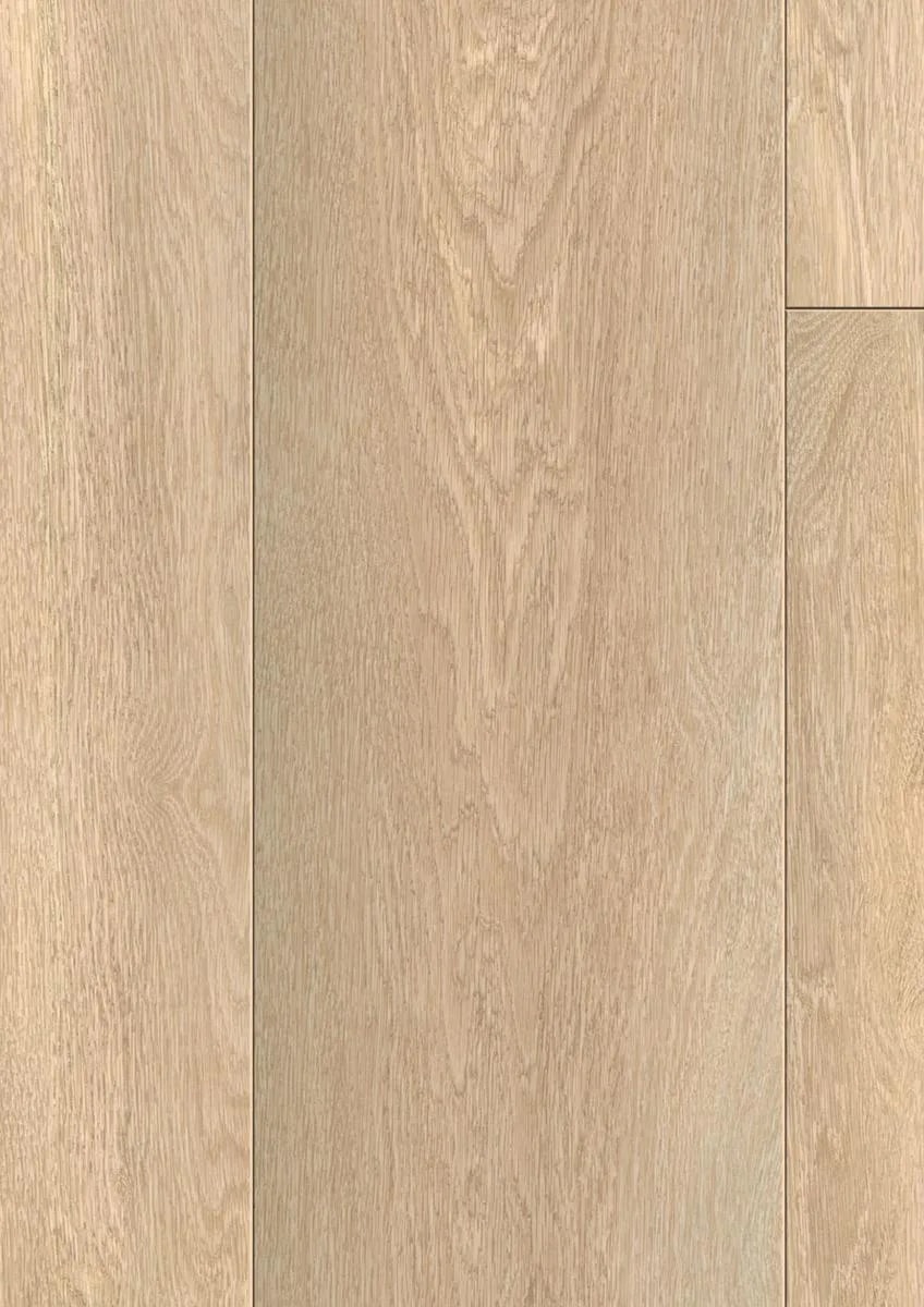 Absolute Oak Nature