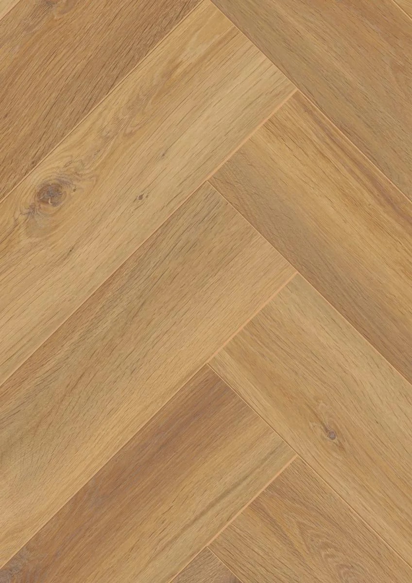 Pisa Oak