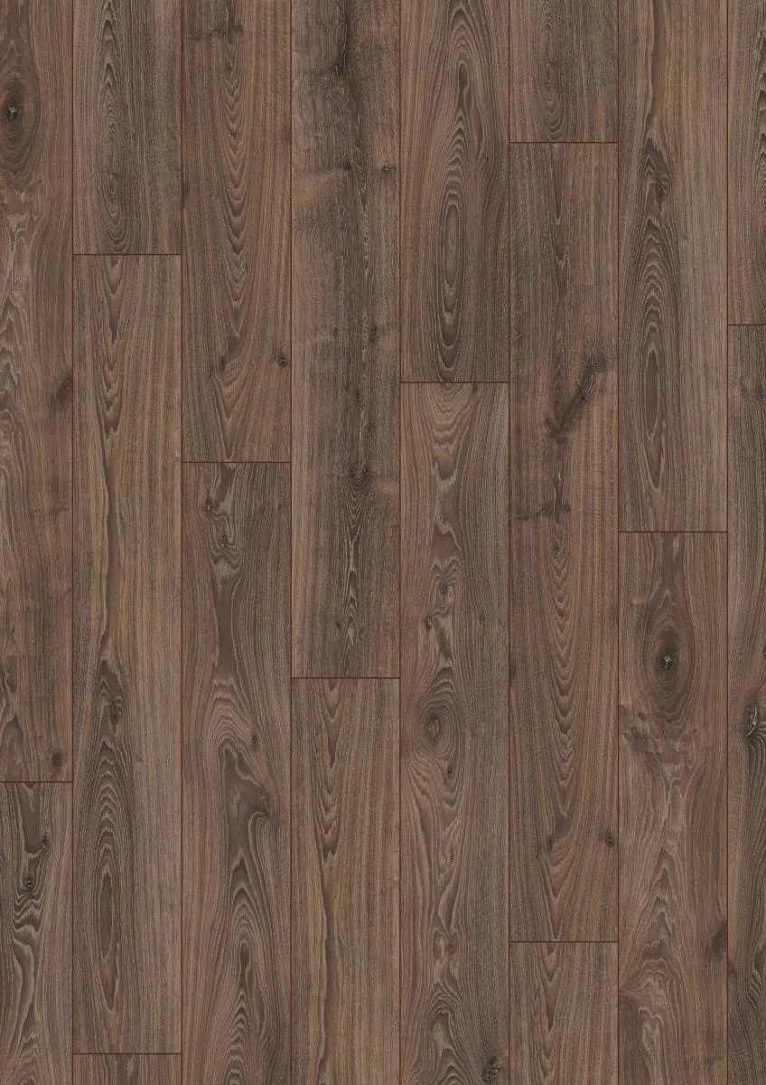 Timeless Oak