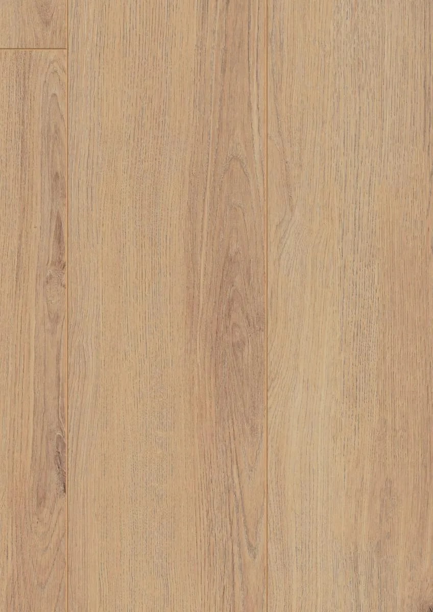 Norfolk Oak