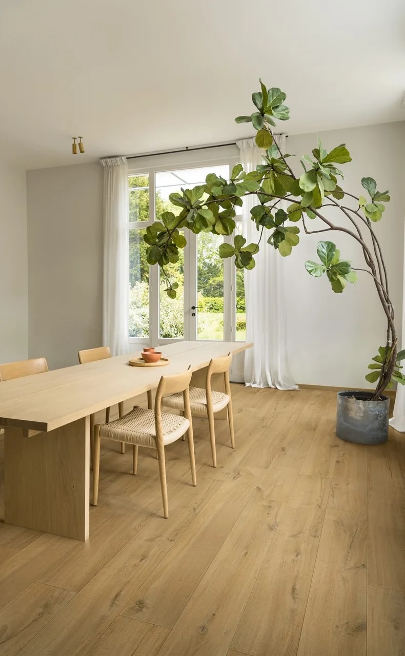 Soft oak natural Laminate Impressive