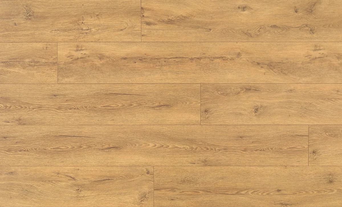 Sicilia Oak