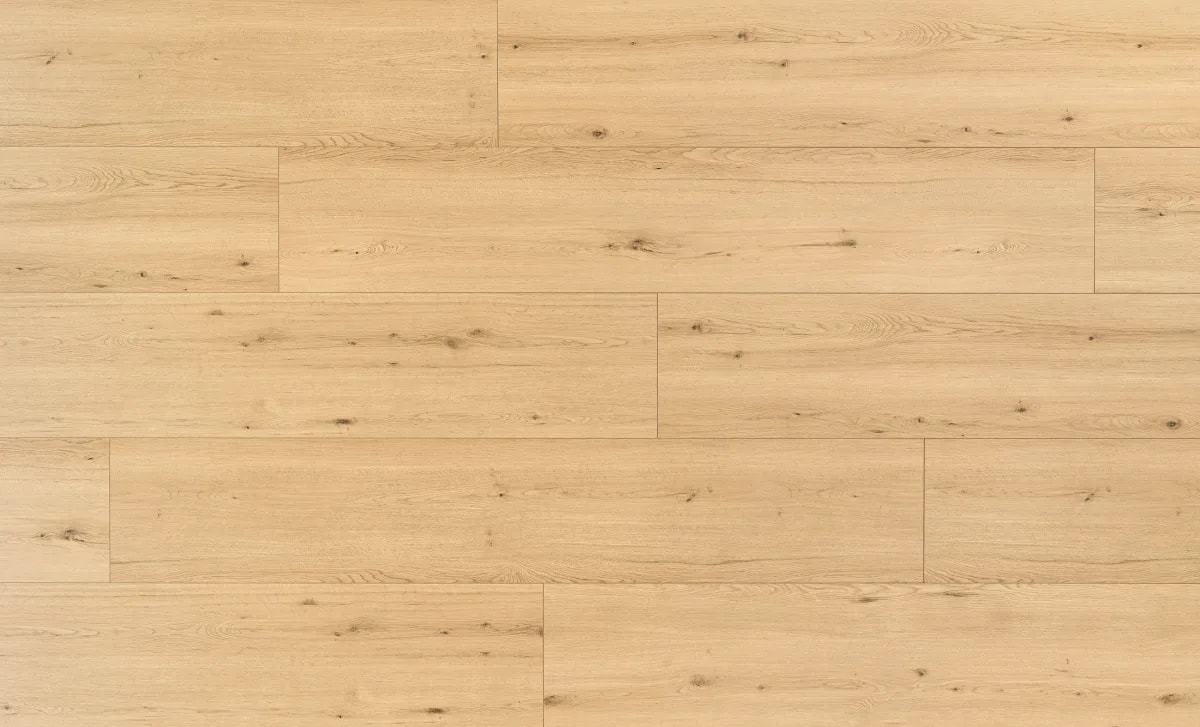 Disentis Oak