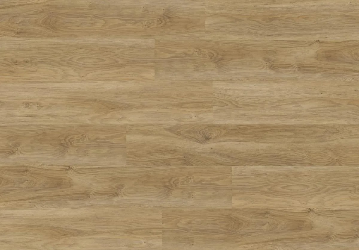 Camargue Oak