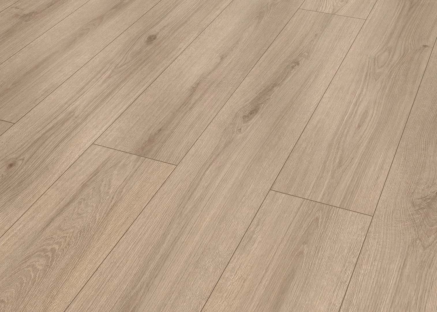 Schlosseiche