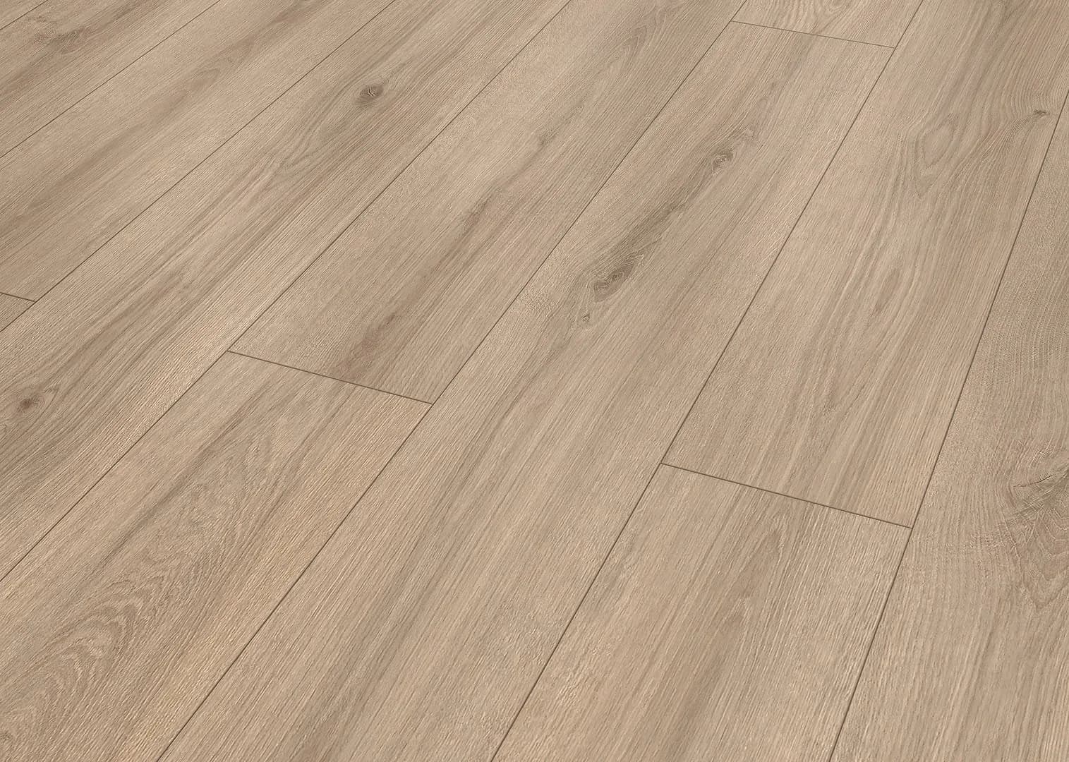 Schlosseiche