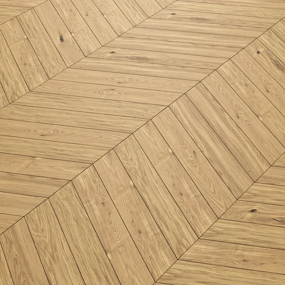 Chevron Zeleia -