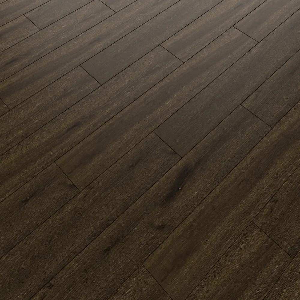 Ceramus -