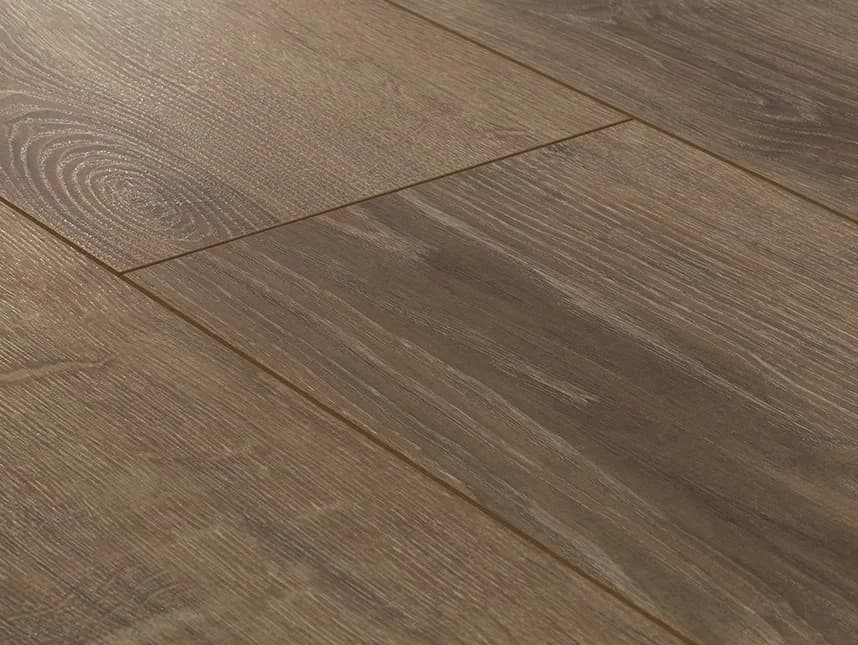 Balearic Oak