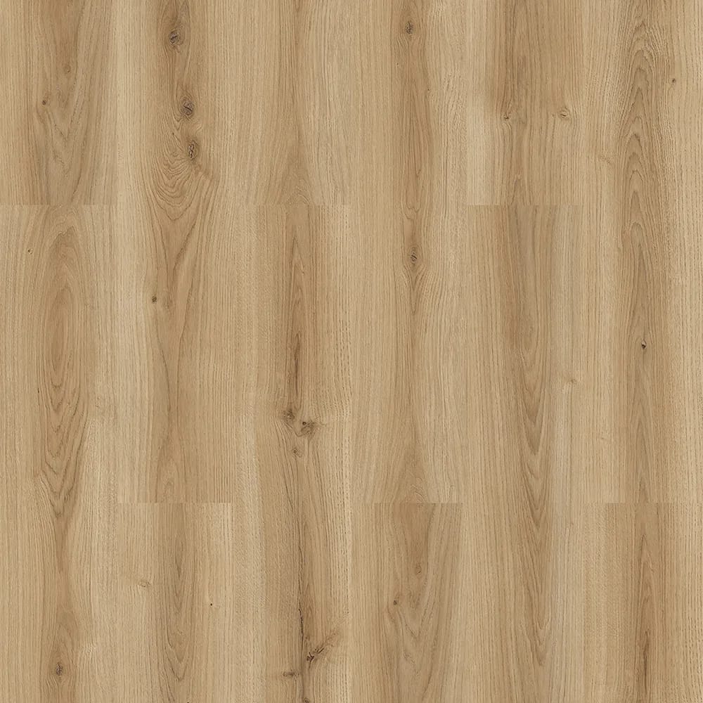 Muğla Meşe