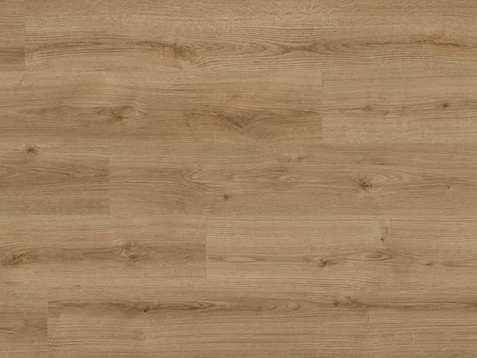 Oak Evoke Trend uygulama görünümü
