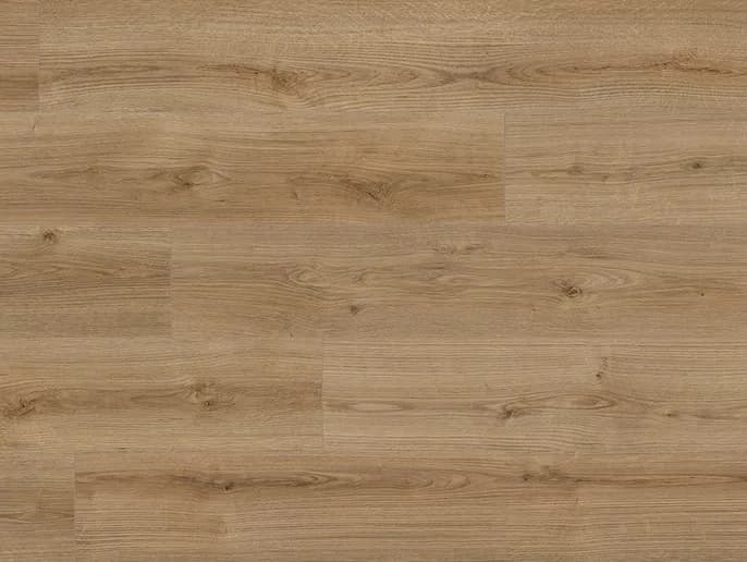 Oak Evoke Trend