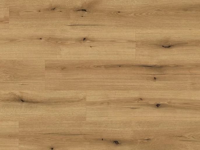 Oak Evoke Coast