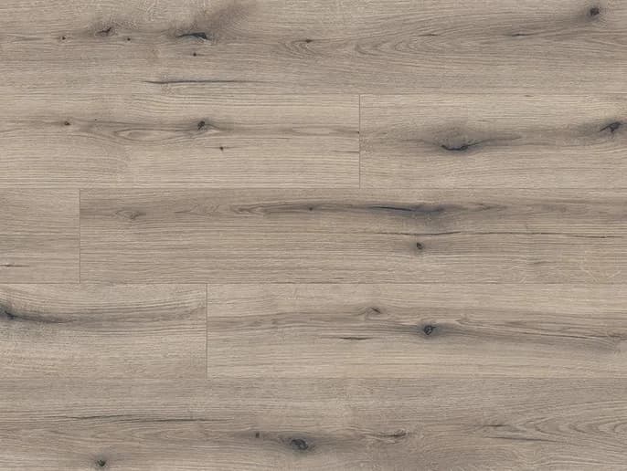 Oak Evoke Solano