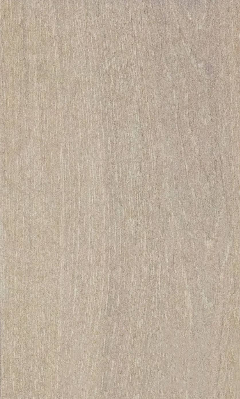 PLANK BEYAZ uygulama görünümü