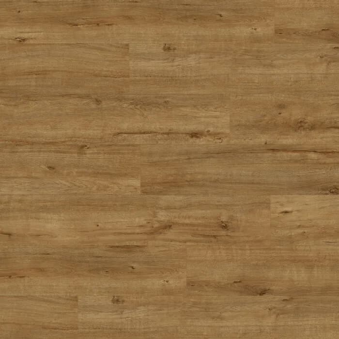 Gold Apollo Oak, Plank (MW)