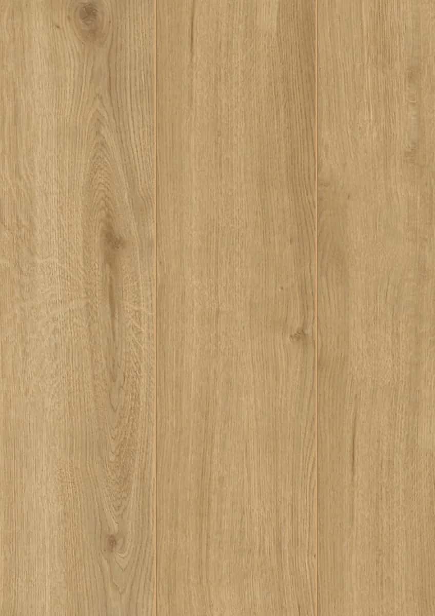 Adaja Oak