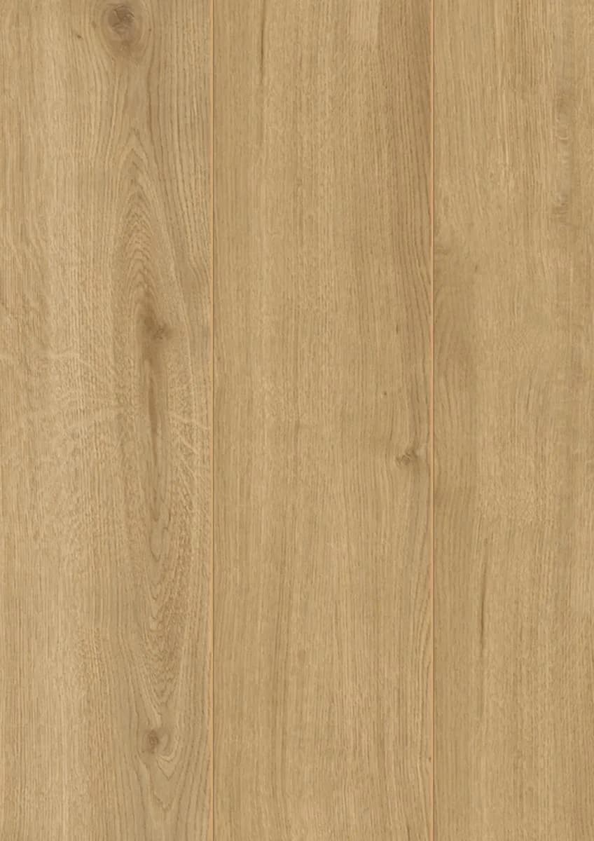 Adaja Oak