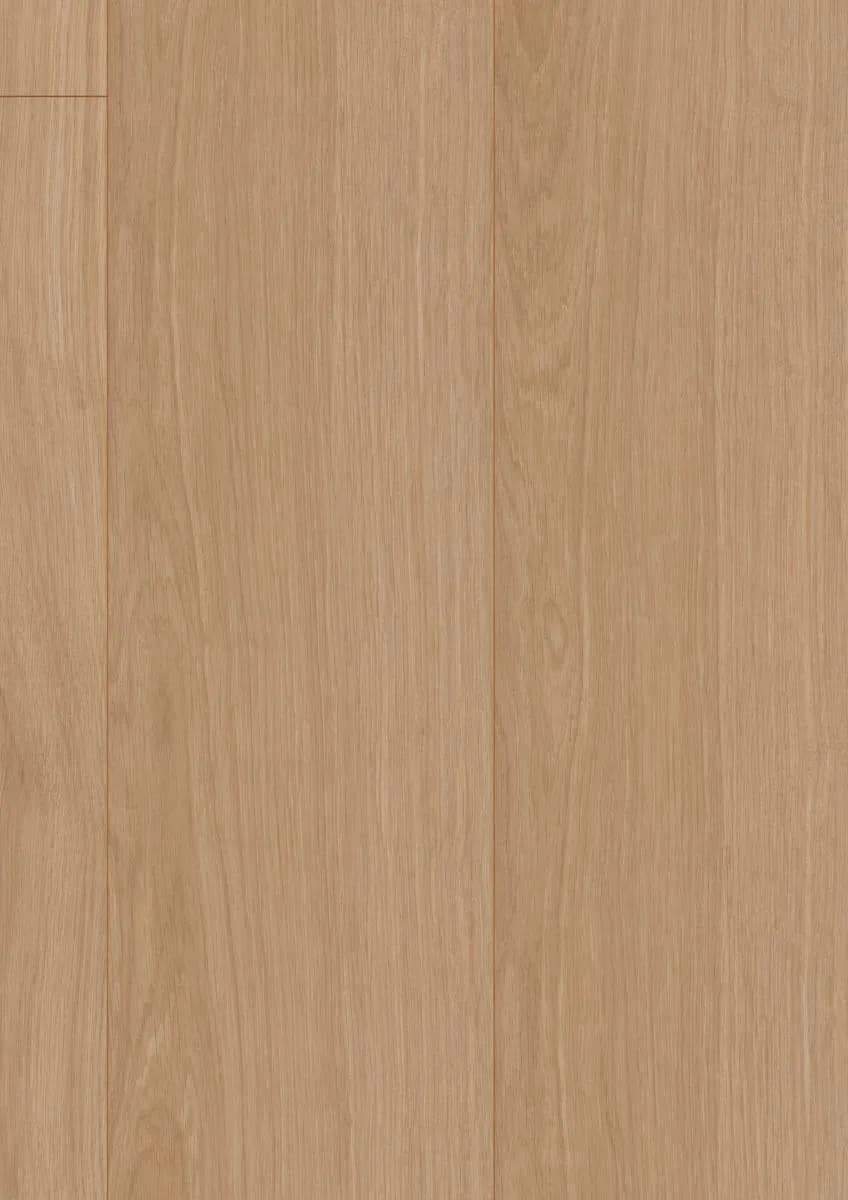 Waveless Oak Nature