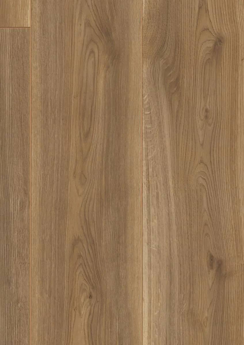 Sierra Oak Gold uygulama görünümü