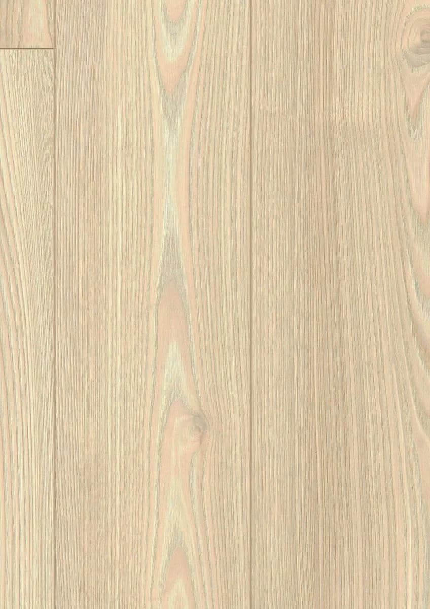 Salisbury Chestnut