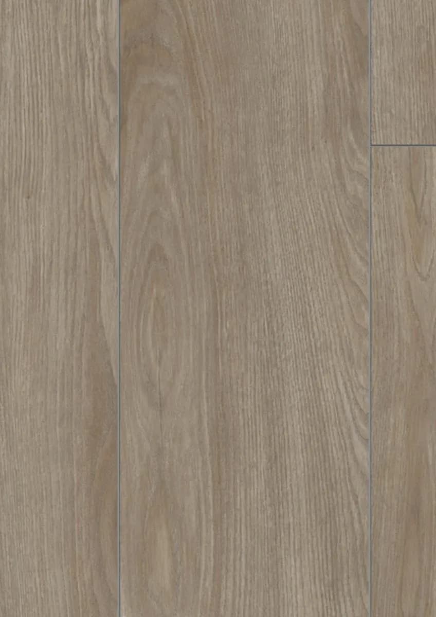 Sevilla Oak