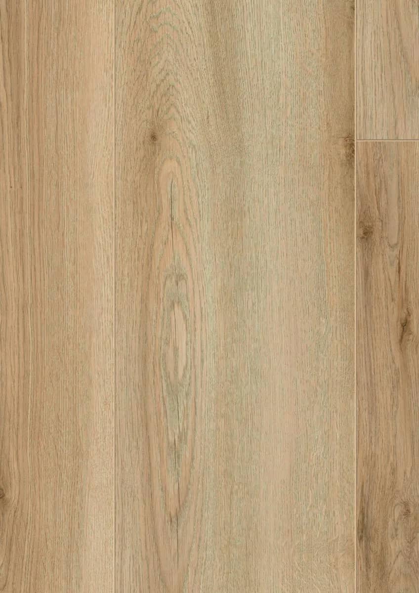 Edersee Oak Nature uygulama görünümü