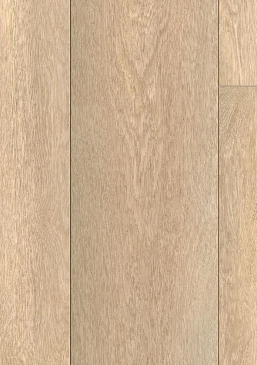 Absolute Oak Nature