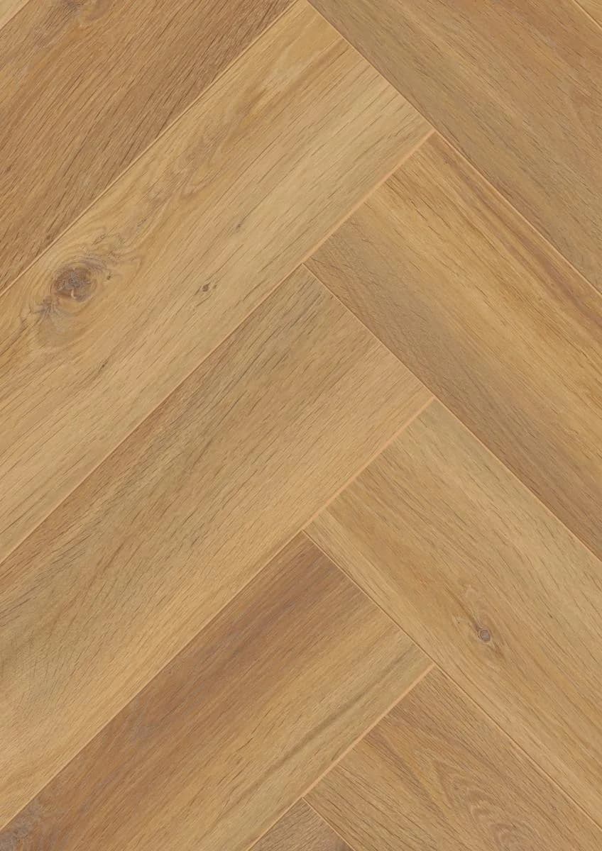 Pisa Oak