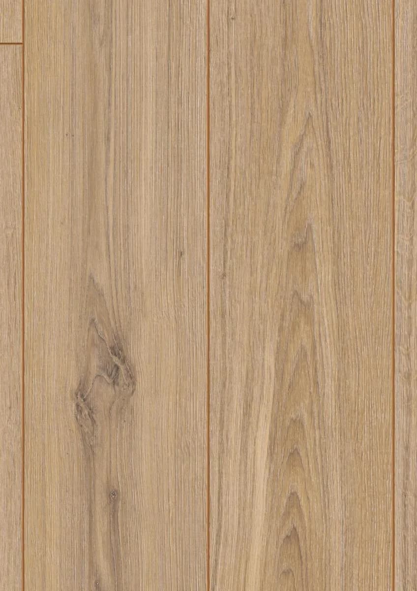 Phalsbourg Oak