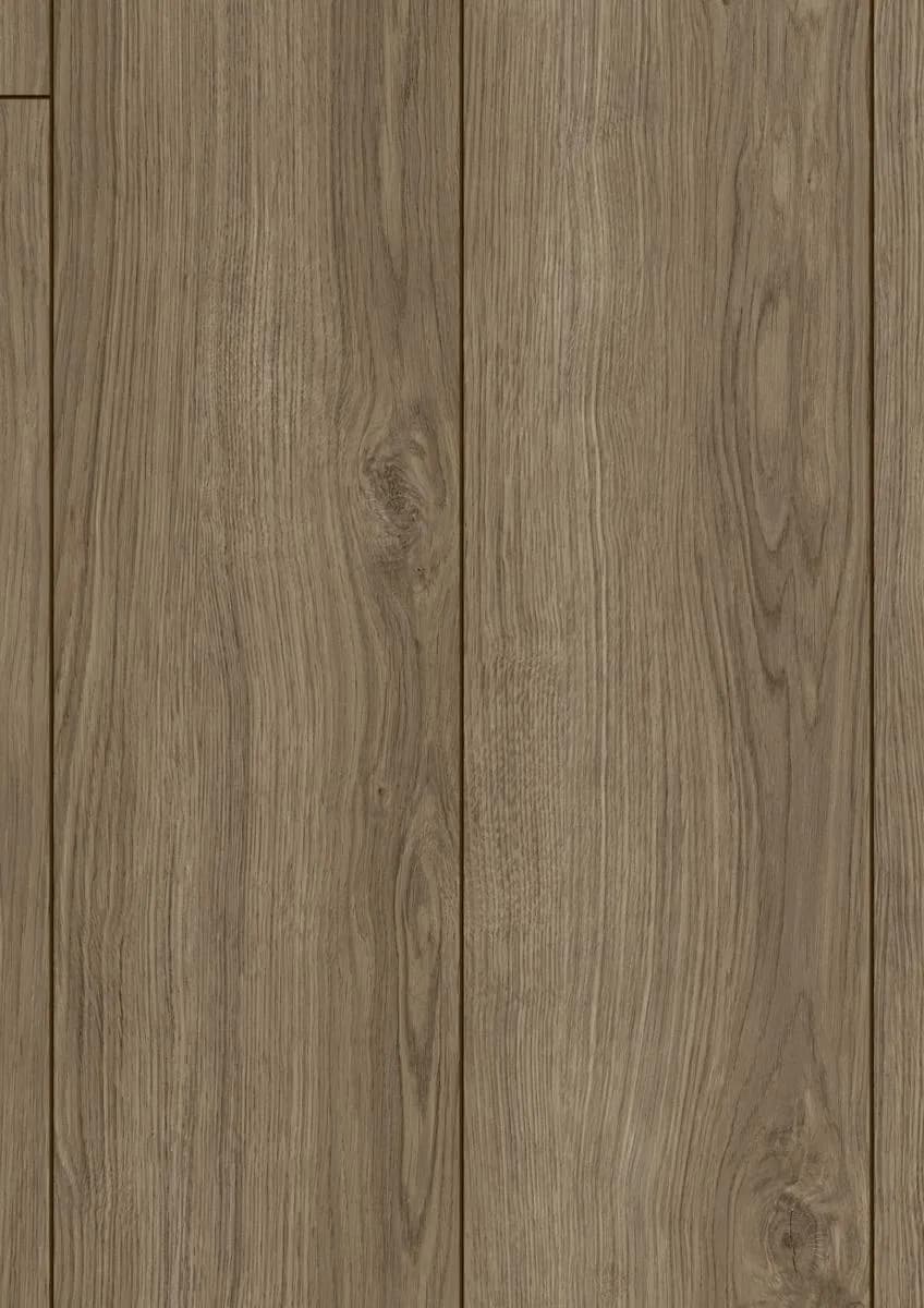 Opal Oak Coffee