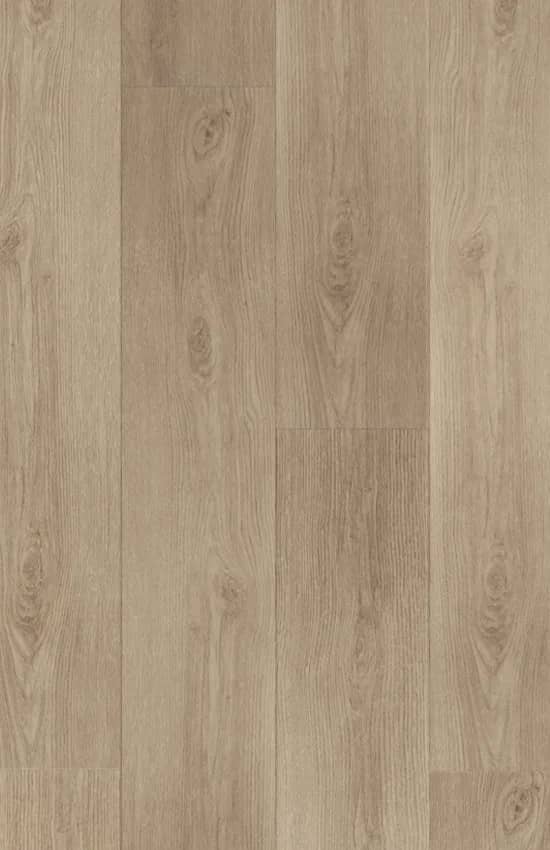 NAPOLİ uygulama görünümü