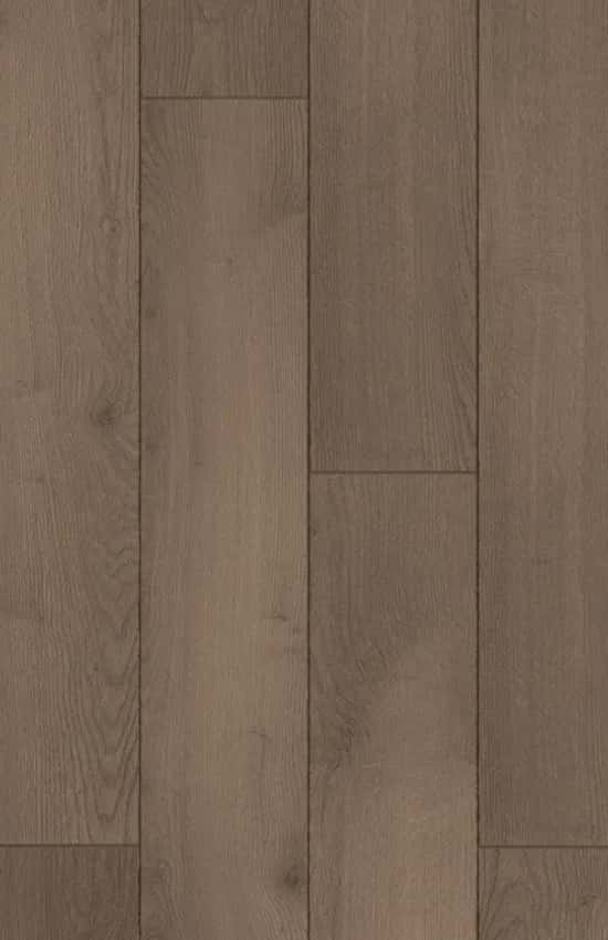 LATTE MEŞE