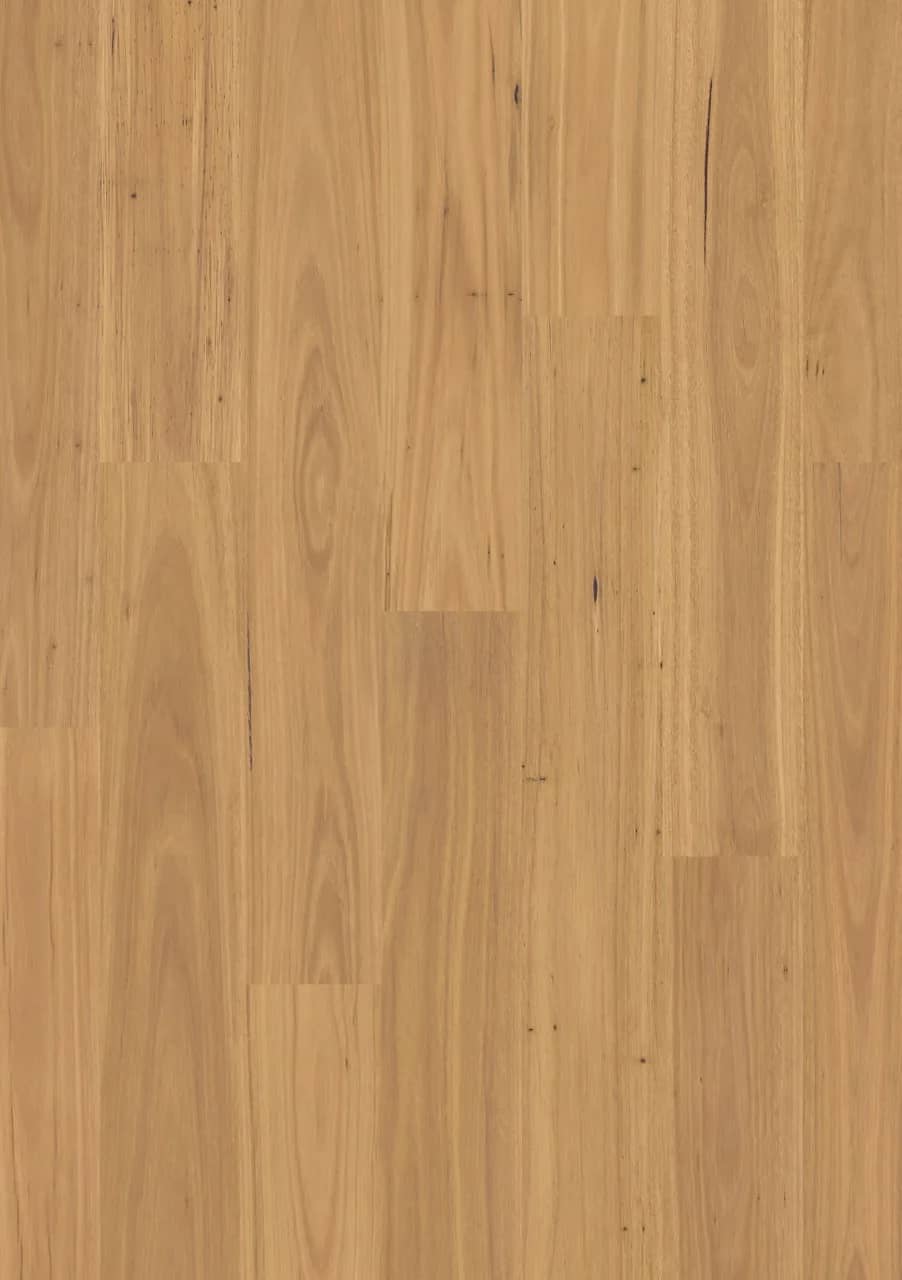Pure blackbutt Laminate Eligna uygulama görünümü