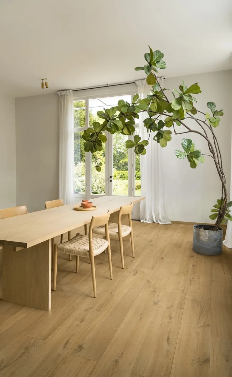 Soft oak natural Laminate Impressive