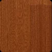 Sapelli