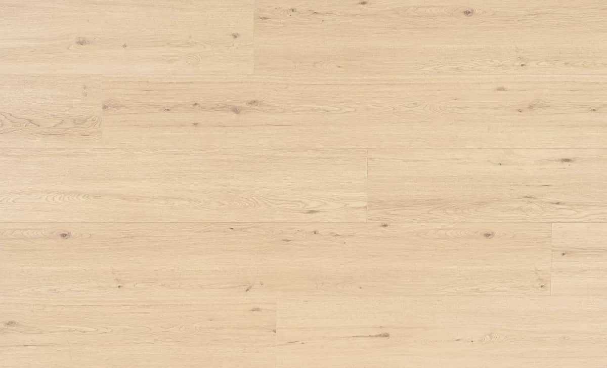 Chur Oak uygulama görünümü