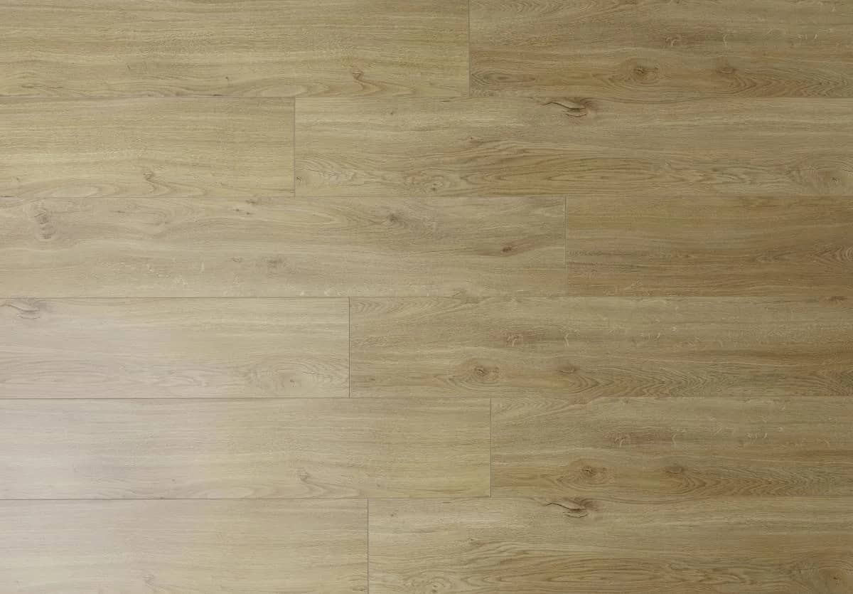 Lucerne Oak uygulama görünümü
