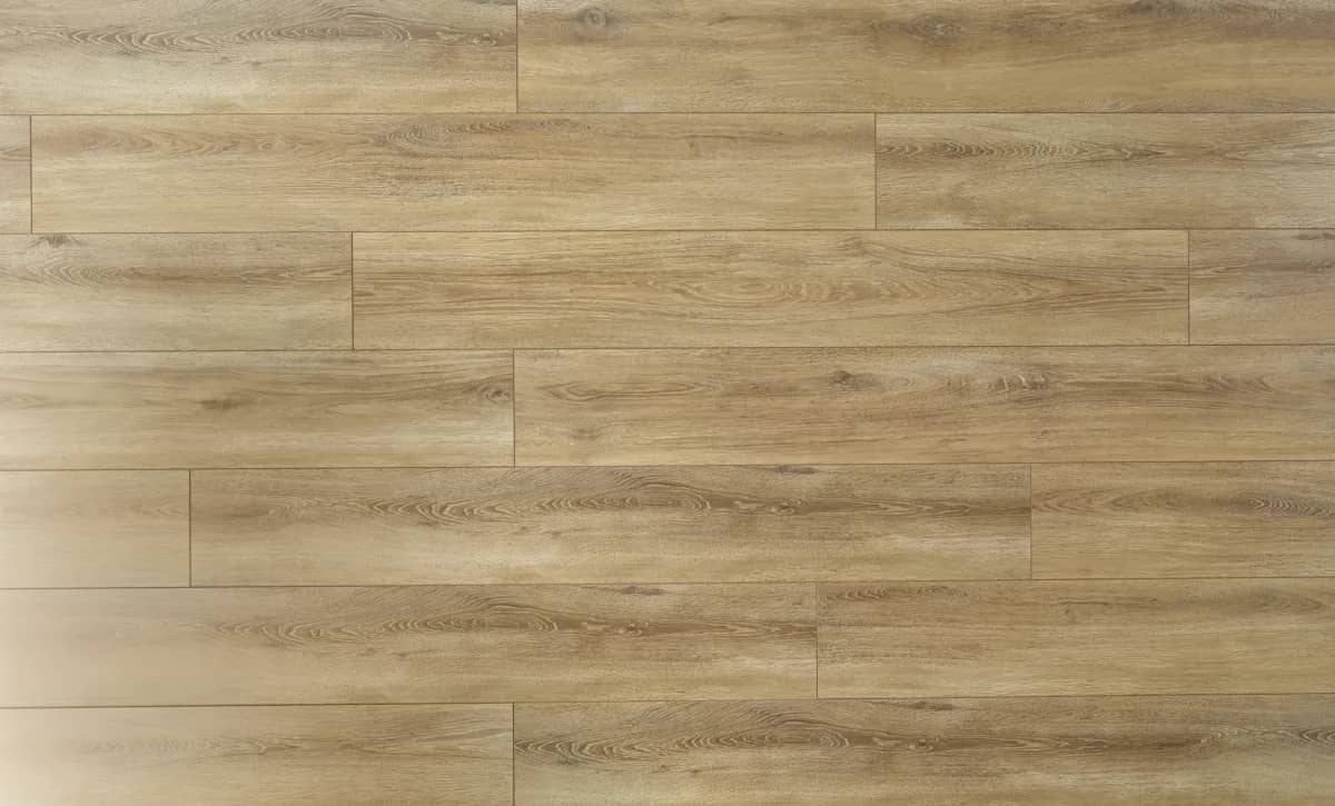 Santiago Oak uygulama görünümü