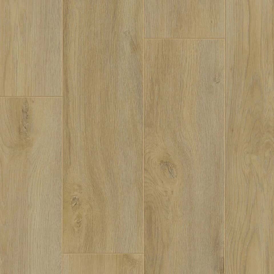 Empire Oak NATURE