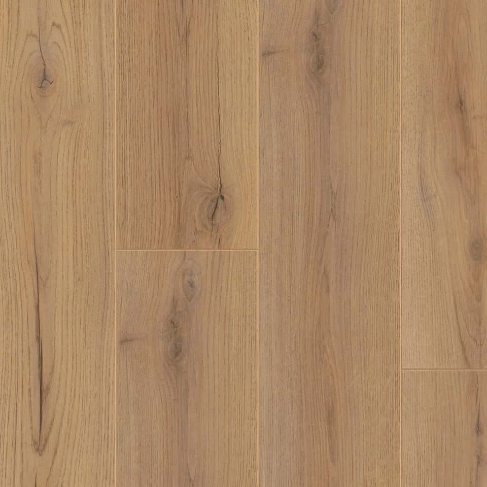 Merion Oak BROWN