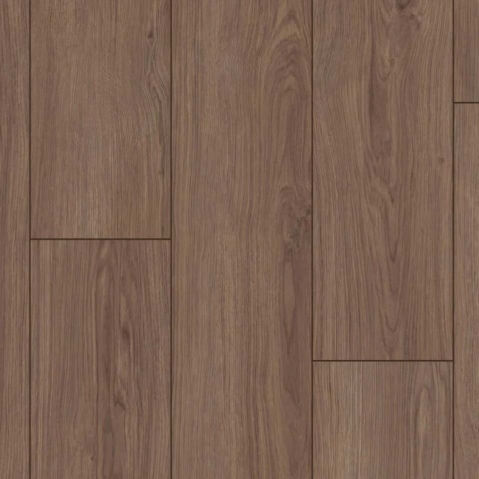 Aurora Oak DAWN